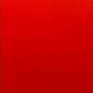 Meet your Posher, Lily